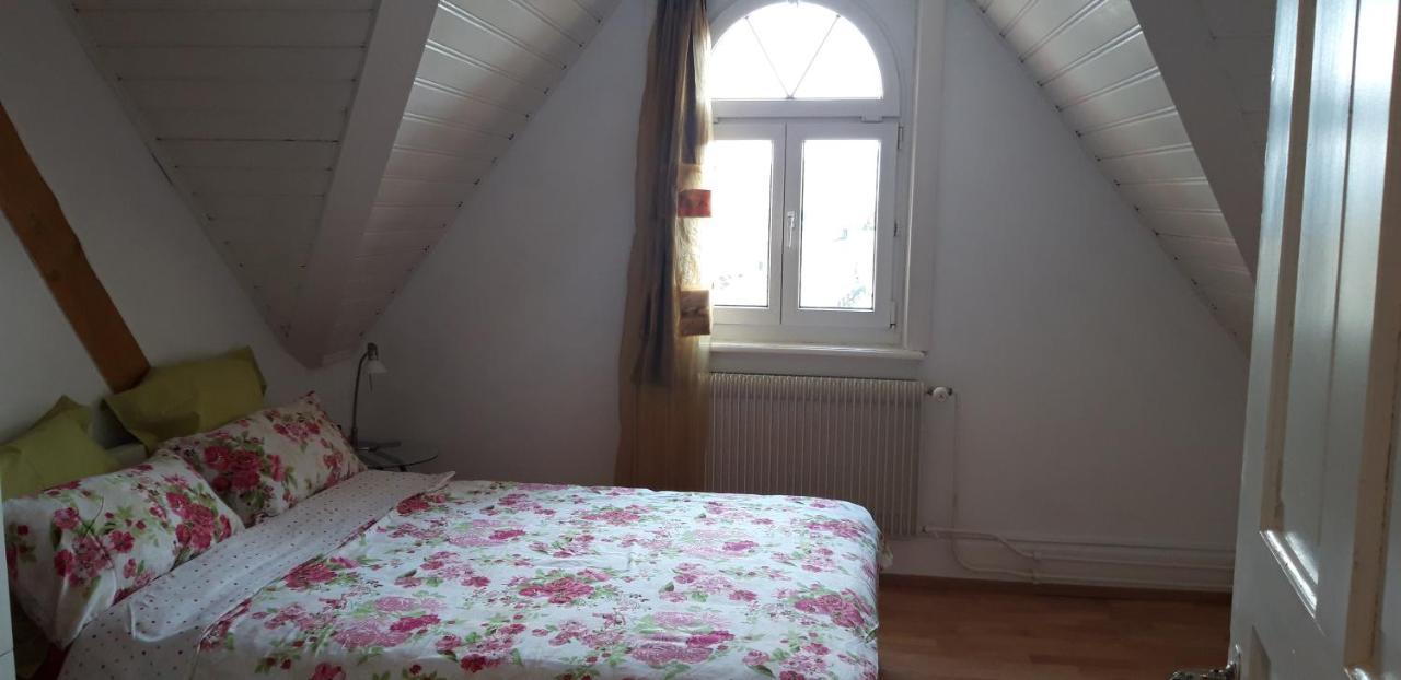 Ferienwohnung Stein Am Rhein Nahe Bahnhof Und Rhein Dış mekan fotoğraf