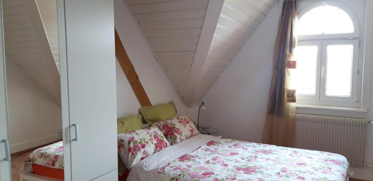 Ferienwohnung Stein Am Rhein Nahe Bahnhof Und Rhein Dış mekan fotoğraf